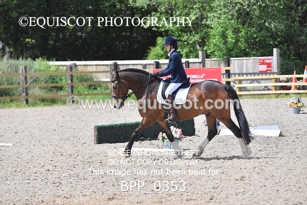 BPP_0353 - NOVICE 6