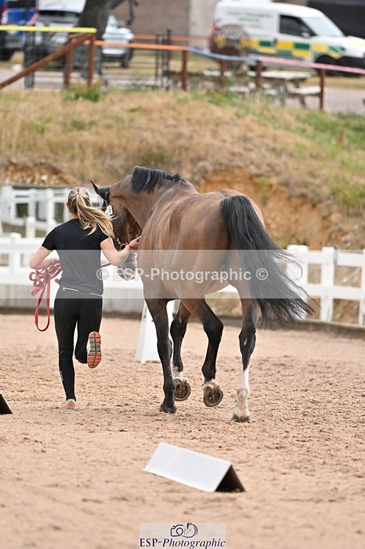 250716-145314-01472 - Trot Up 2.30 to 3.30
