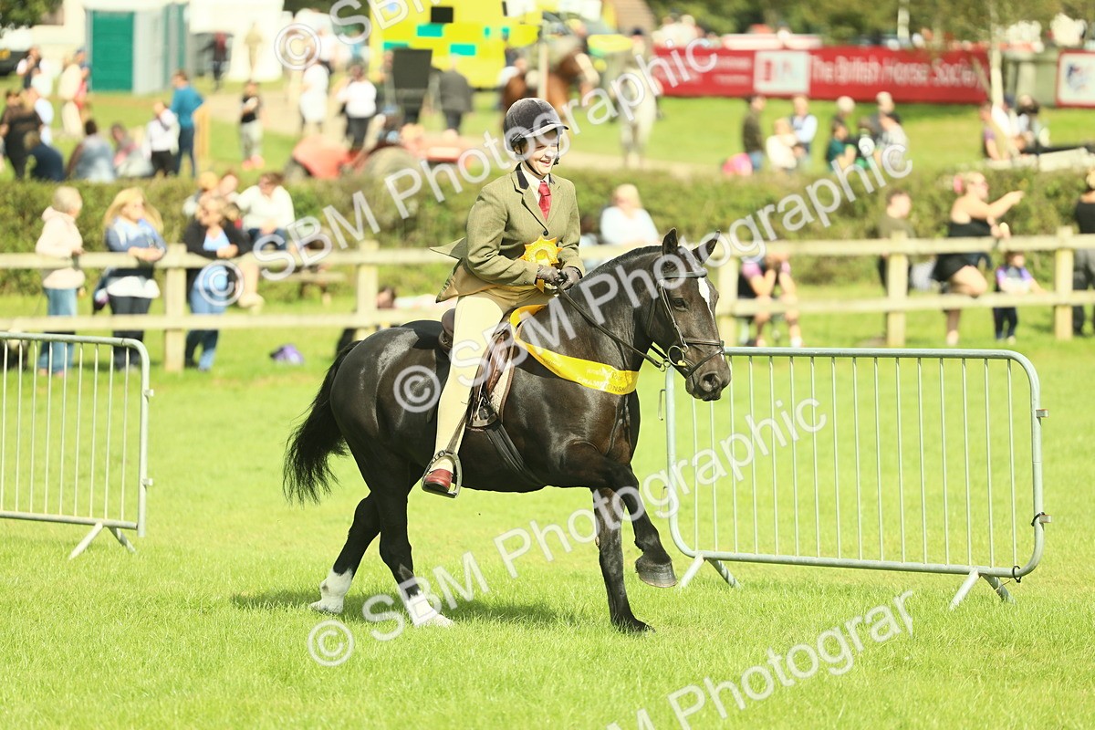 SBM_44843 - S31 - Working Hunter Pony