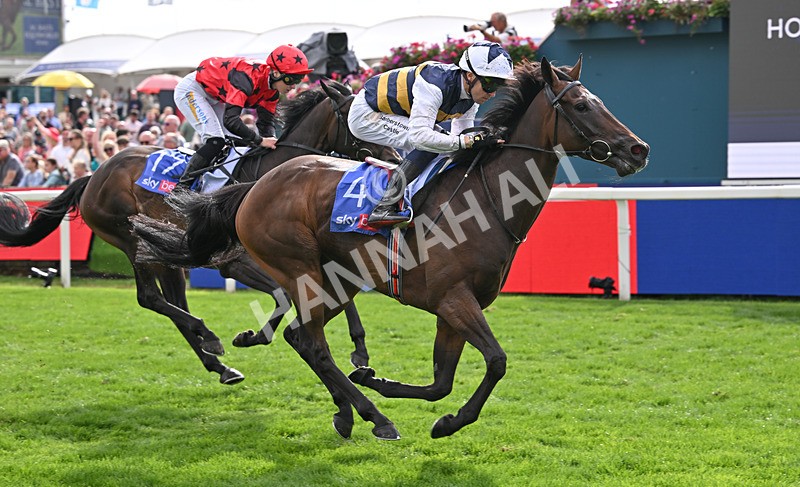190826-191 Small Fry - Race 5 16.10pm Sky Bet Stayers Handicap