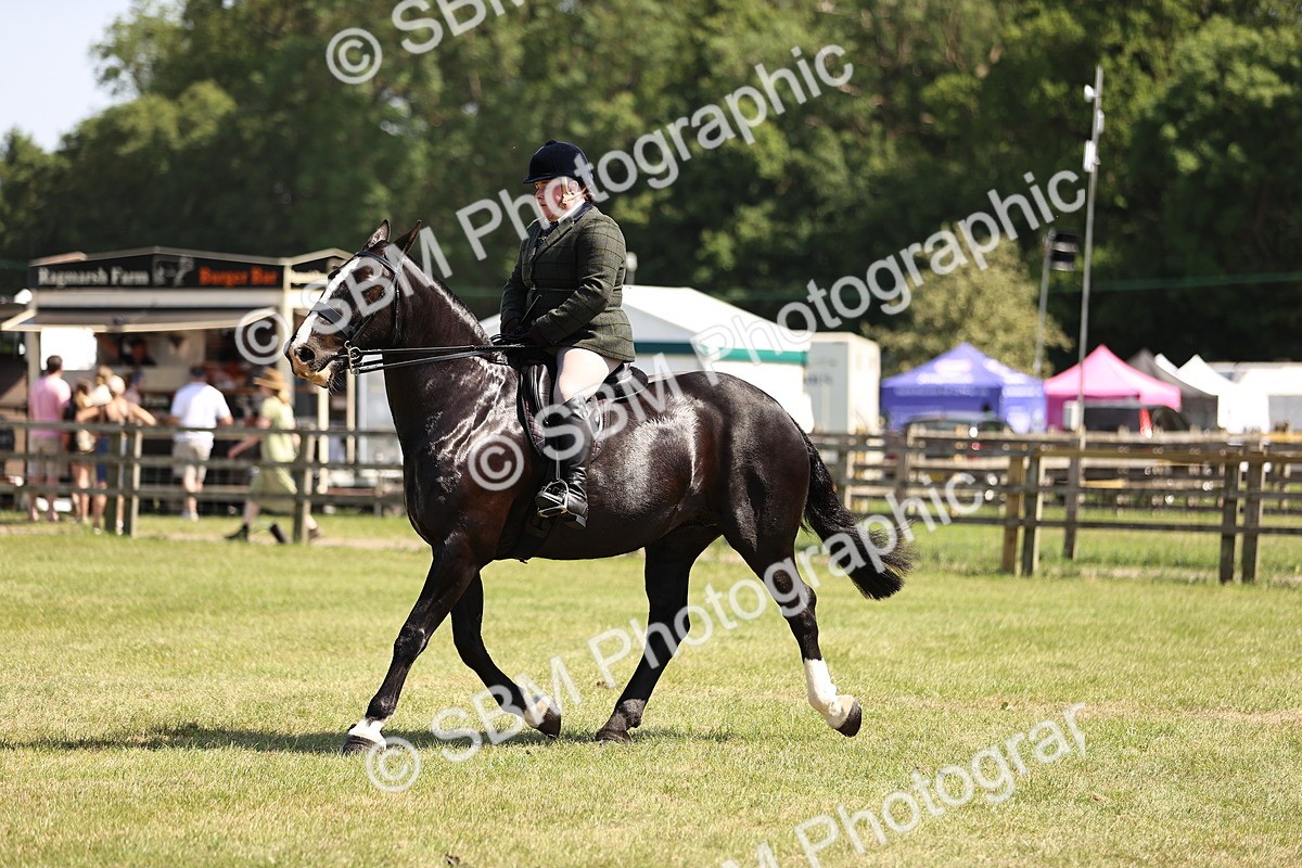 SBM_17909 - Class 81-83 - TSR Ridden Amateur of the Year - Horses