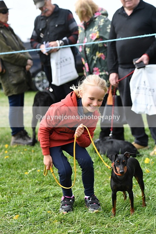 WJ5_0573 - Class 7 Best Terrier