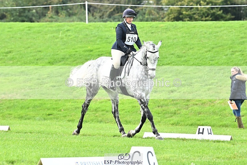 241024-115202-02510 - 510-Kathryn.Virjee-BROWNSTOWNS.SEAWATCH