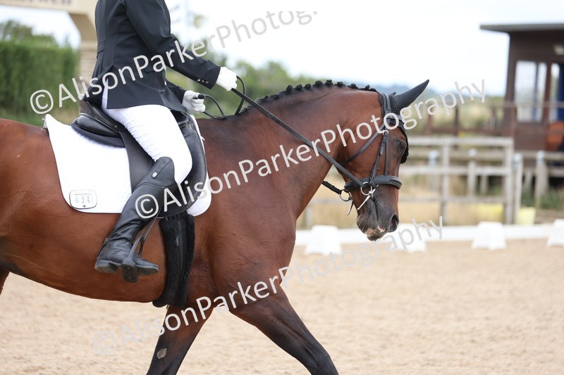 20250730-1173 - Class 6 - Novice 3