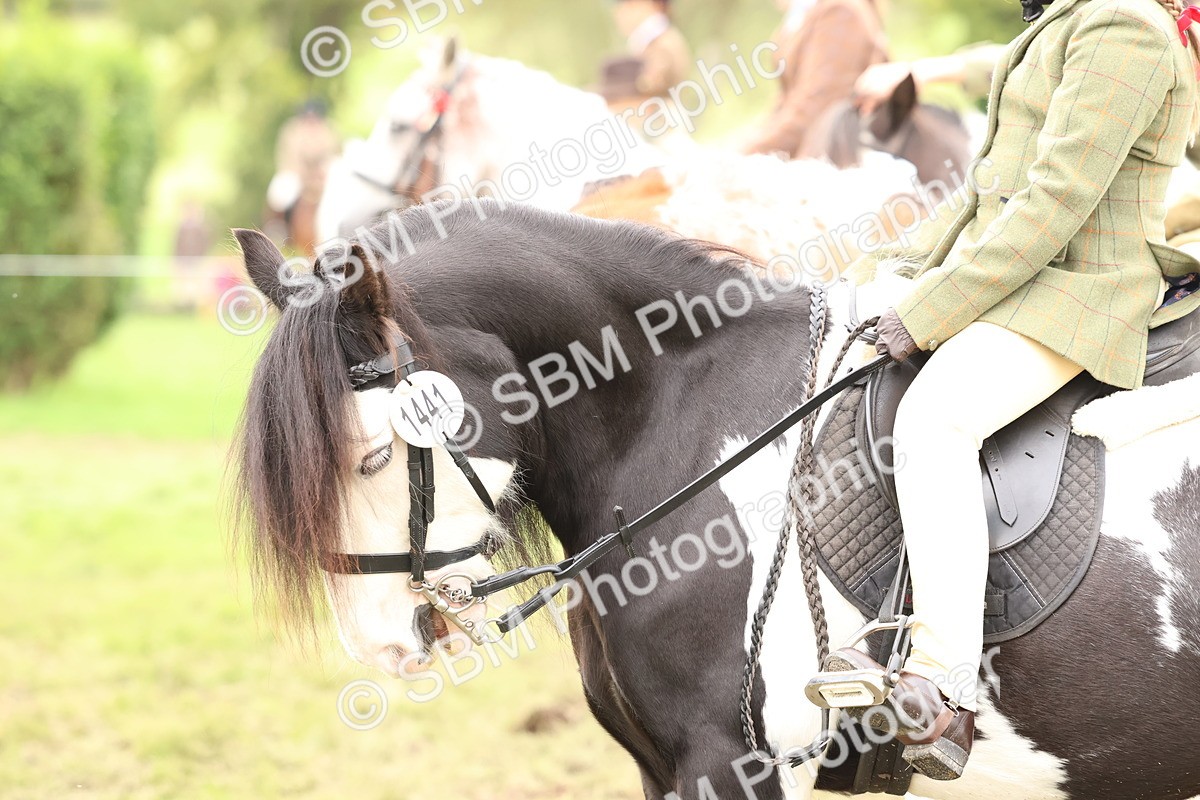 SBM_64487 - S58 - Coloured Pony Ridden