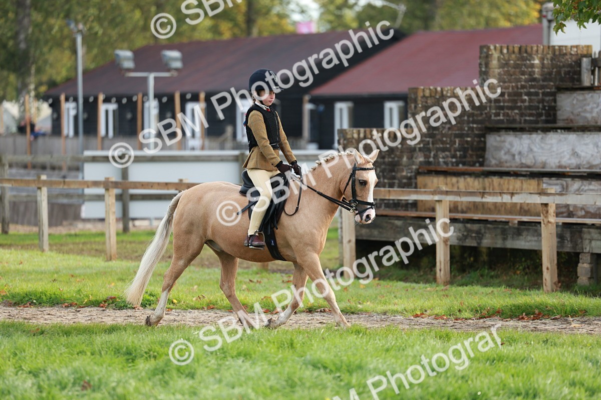 SBM_56324 - S39 - Starters In Hand Showing