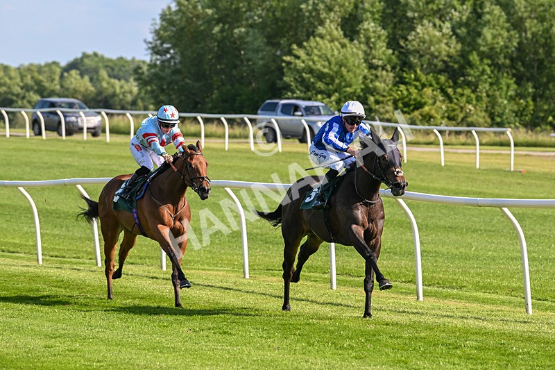 100625-Race 1-Desert Jungle-6358 - Race 1