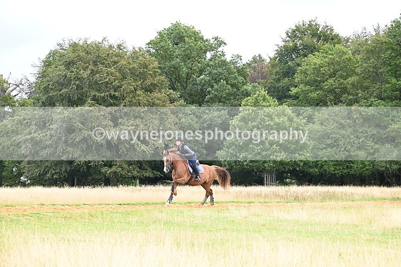 DSC_4989 - Time at Statue 11:10 to 11:42