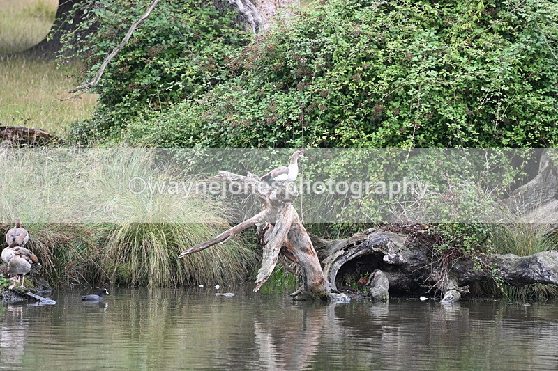 WJ7_6605 - Time at Water 09:30 to 10:00