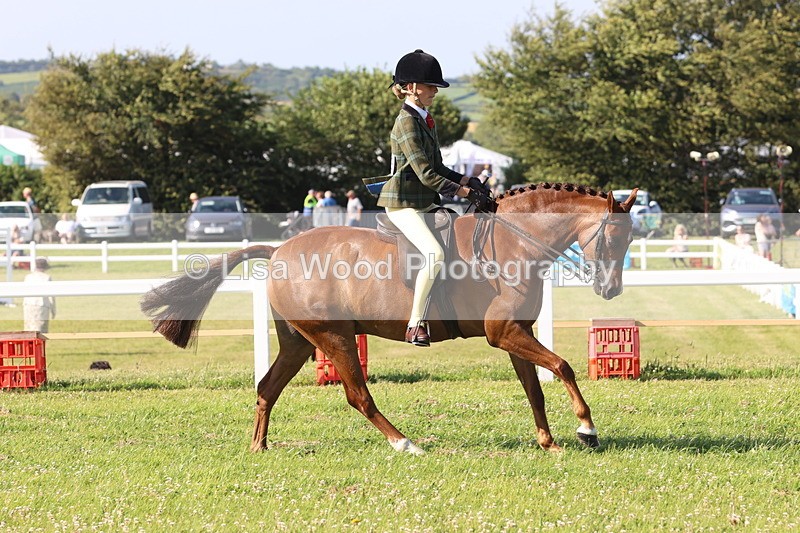 JPP_1301 - Class 18: Cornish Combination Young Rider