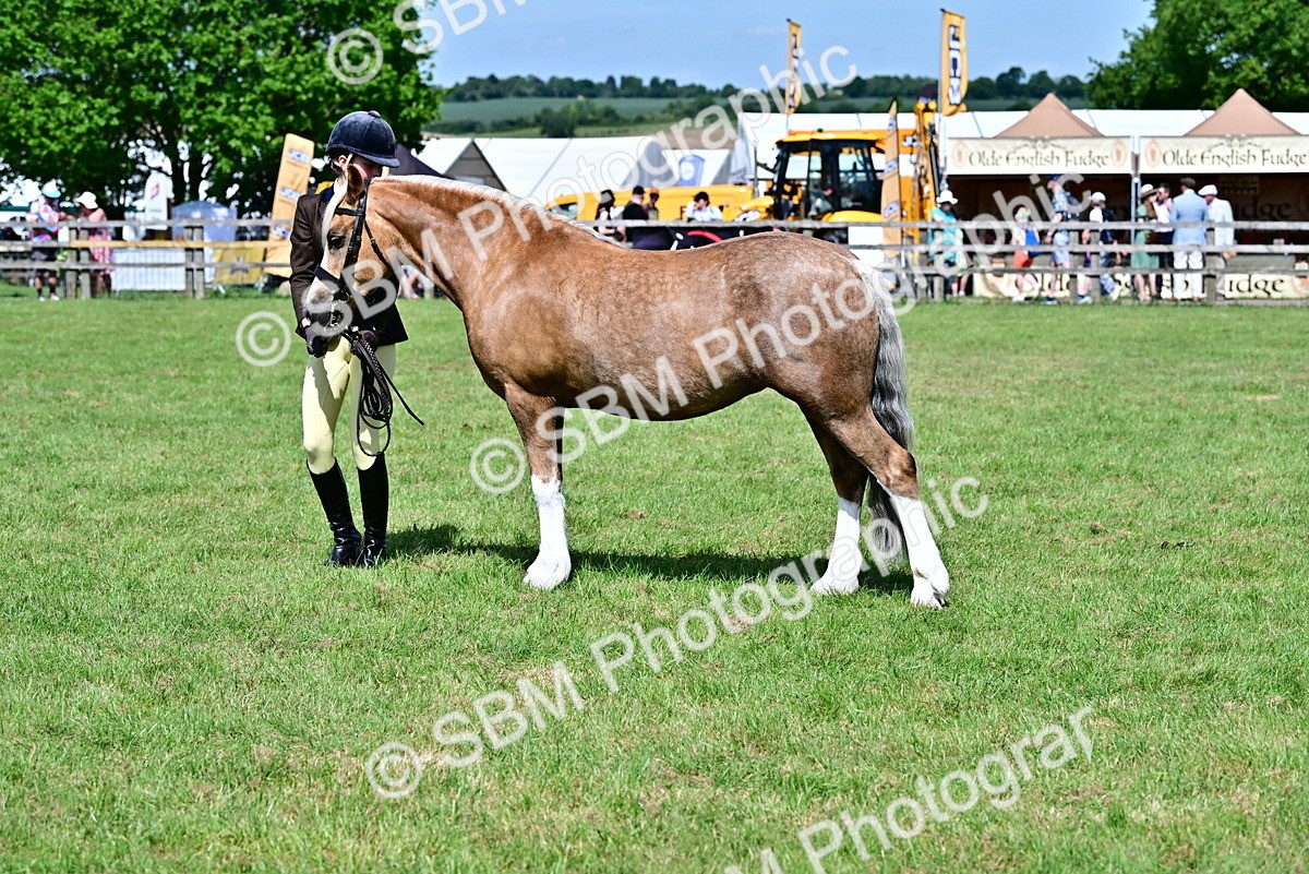 SBM_08053 - Class 61-62 - TSR  M&M Ridden Amateur of the Year