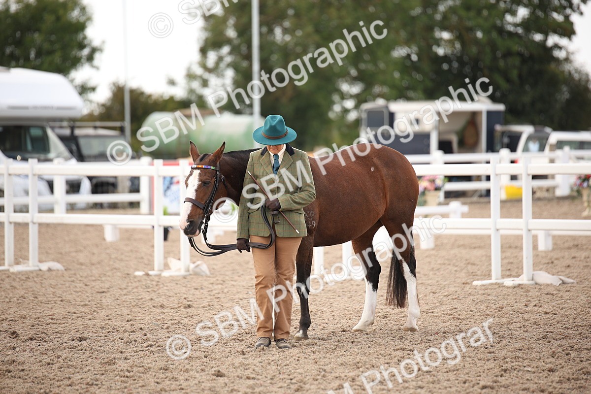 SBM_08246 - Class 27 - IH Competition Horse-Pony