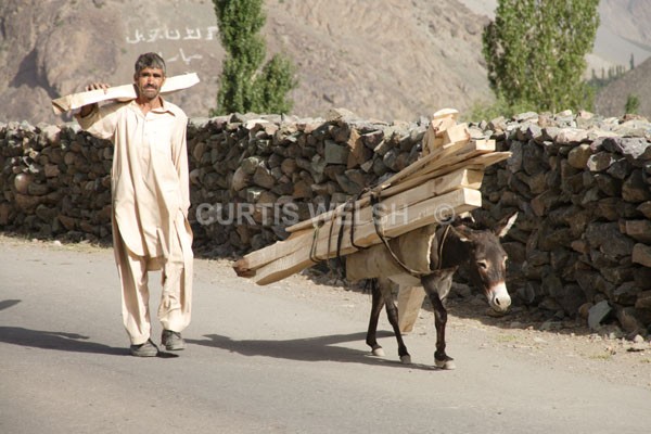 14 - PAKISTAN