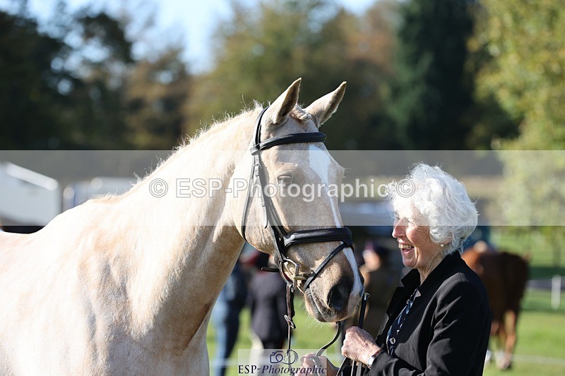 241027-103329-15963 - 519-Jane.Rogers-CORRIEVIEW.MERLIN.MAGIC