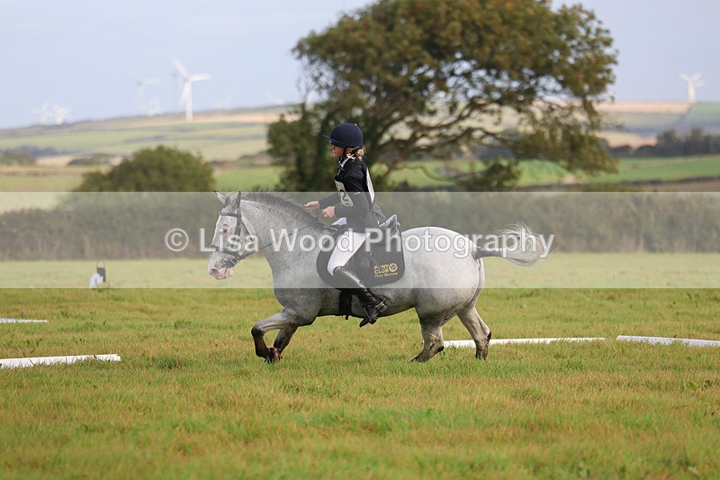 3E7A5203 - Class 1: Trebudannon Open: Dressage