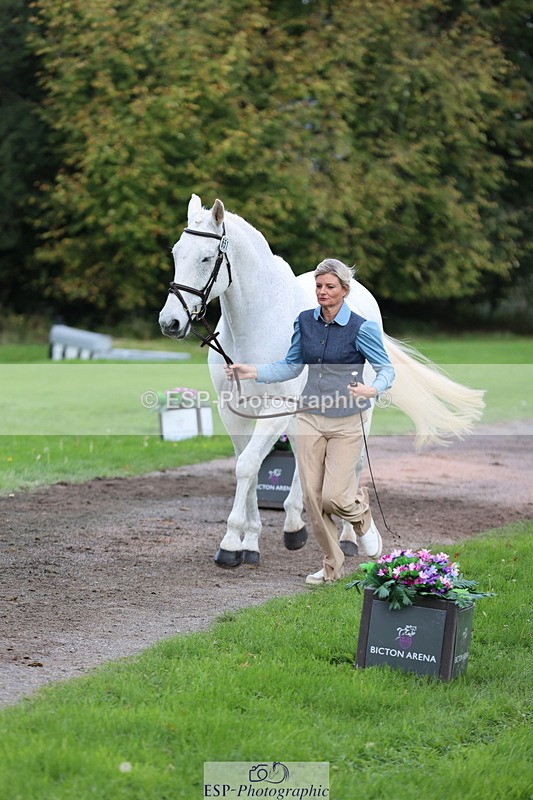 251026A-121552-25990 - H-651-Victoria.Tar