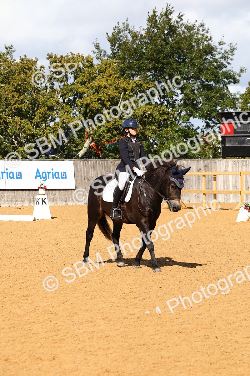 SBM_20784 - D5 - Small Tour Championshop Intro 2