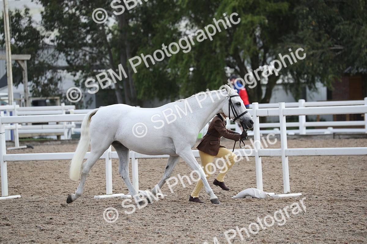 SBM_23078 - Class 605 - 2025 Area - IH Veteran