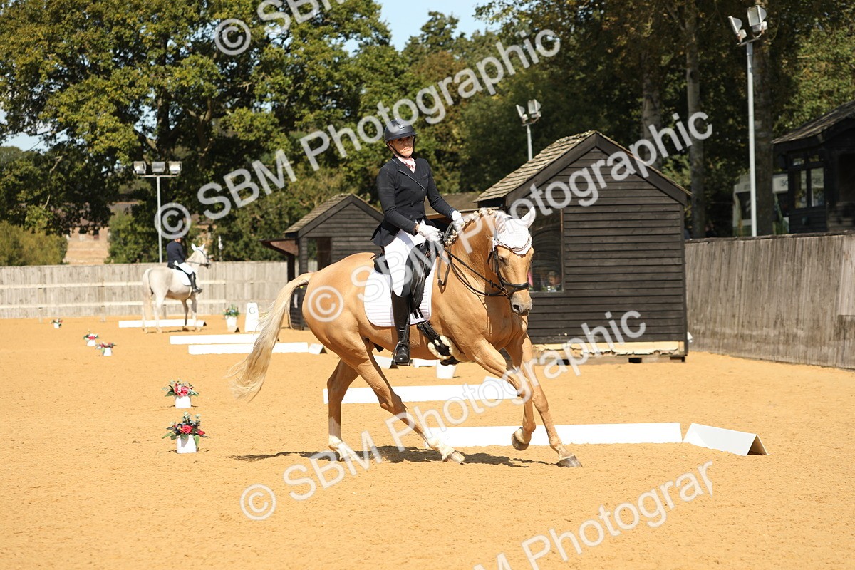 SBM_22319 - D17 - Grand Tour Championship - Novice 27