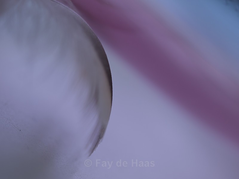  - Ethereal