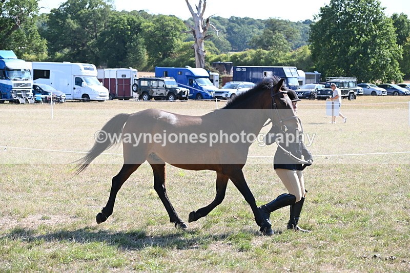 WJ6_7546 - Class 34 Judges Choice