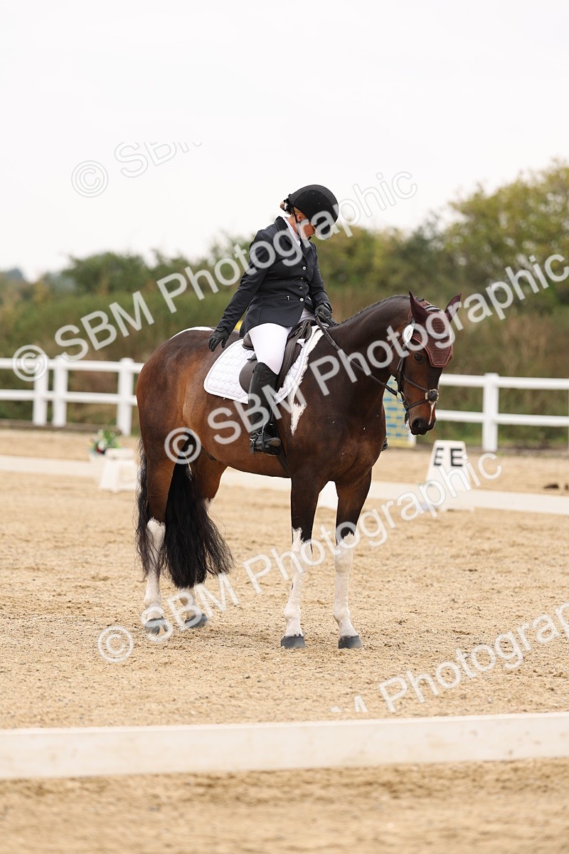 SBM_01706 - Class 9 - Novice 27 Champs