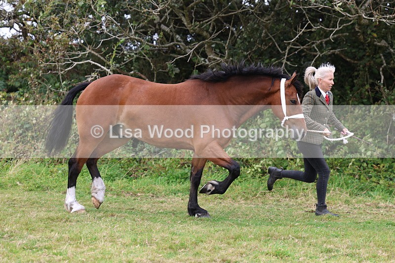 3E7A4372 - Class 15: Three Year Olds