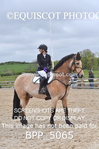 BPP_5065 - CLASS 24 SUN Senior BritiNovice/ 90cm Open