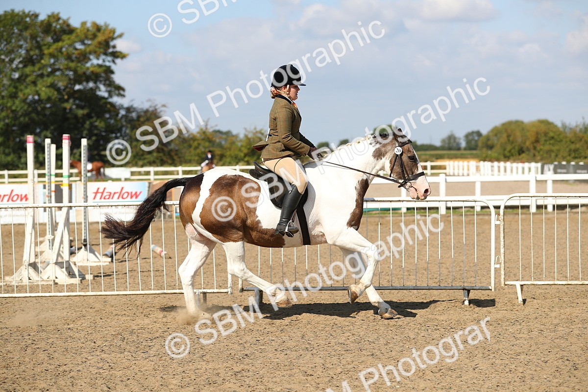 SBM_03131 - Class 44 Riding Club Horse/ Pony