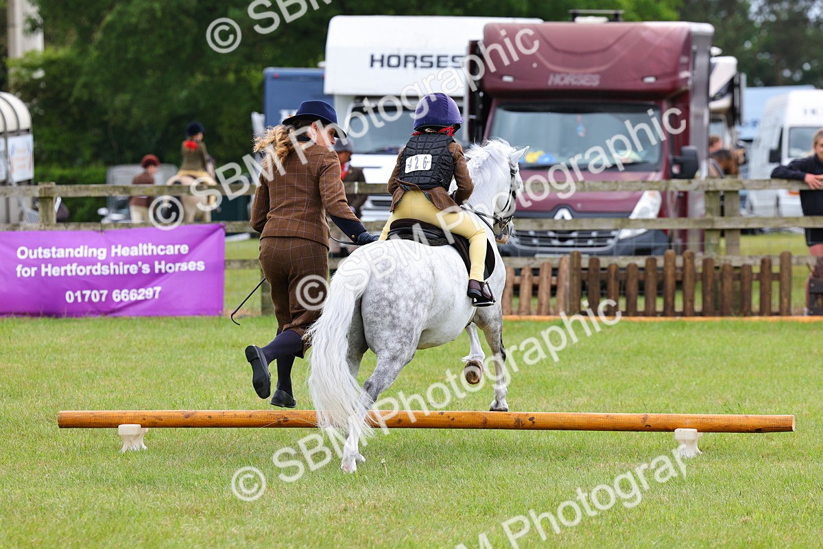 SBM_08248 - Class 42-43 - LIHS BSPS Heritage Working Sports Pony