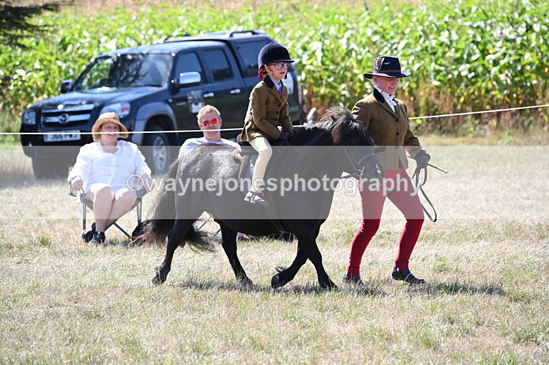 WJ6_8088 - Class 36 Lead Rein