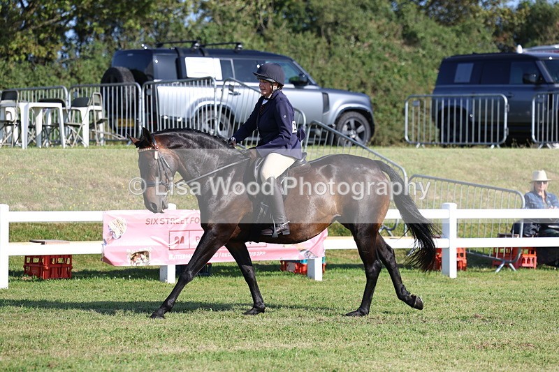3E7A5384 - Class 2: Rising Star Large Hack/Riding Horse
