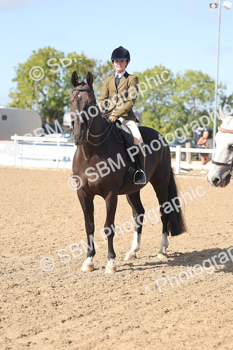 SBM_22675 - Class 805 - Ridden Veteran Horse