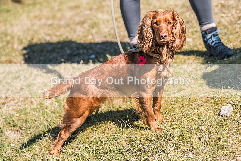 Dean Barwick-375 - Dean Barwick Dash Sunday 20th April 2025