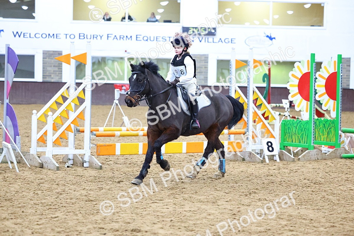 SBM_001415 - Class 3 - Christmas Tree Stakes - 60cm