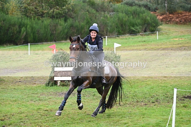 WJ6_2704 - 80cm Cam 1 Time 11:23 to 12:04