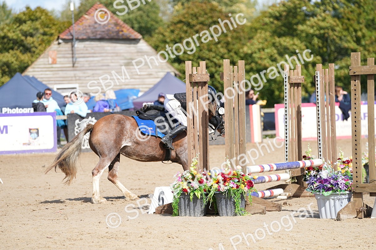 SBM_19847 - J49 - Open 50cm