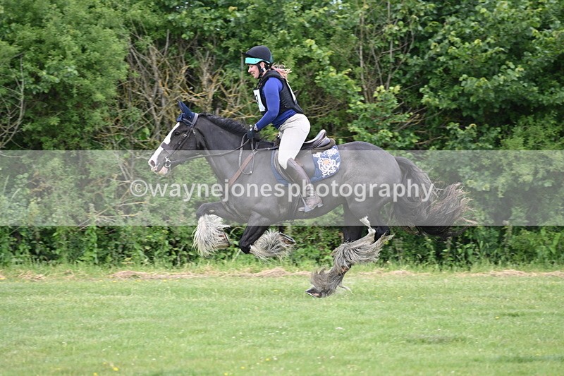 WJ6_3226 - Class 4 60cm