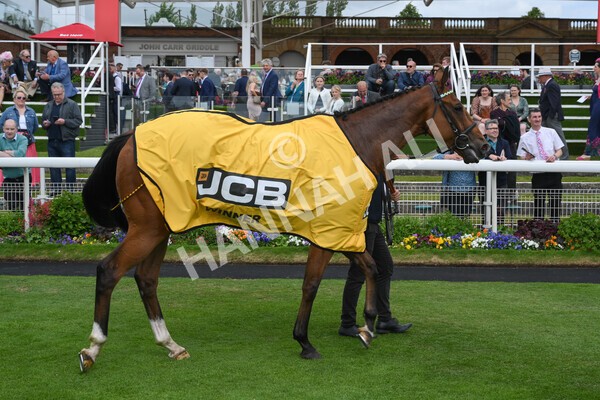 yr11062022r3-47 - Race 3 2.35pm The JCB Stakes
