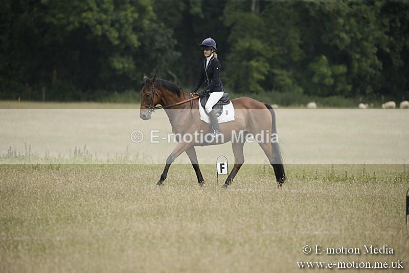 B230619-0399 - Bourne Valley Riding Club Summer Show 23/06/19