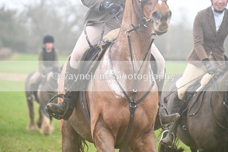 WJ6_6476 - Line 2 A Camera Only