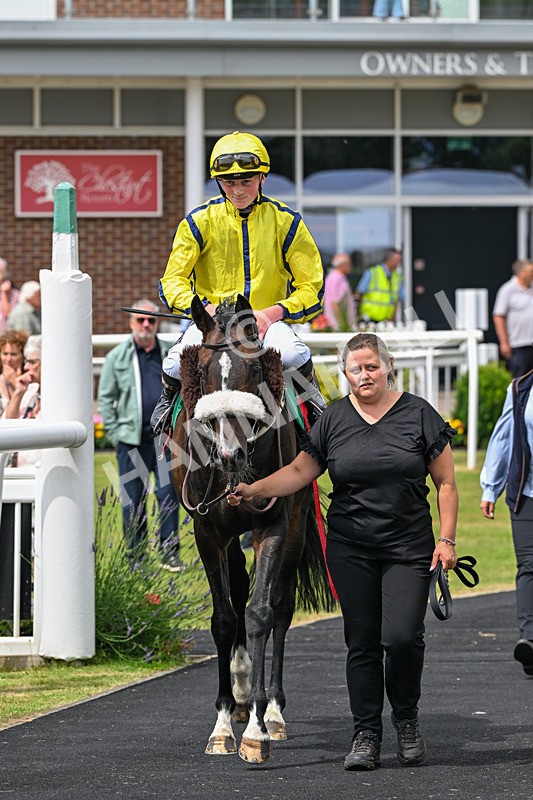 010726-Race 3-North Force-8175 - Race 3 14.08pm British EBF Novice Stakes