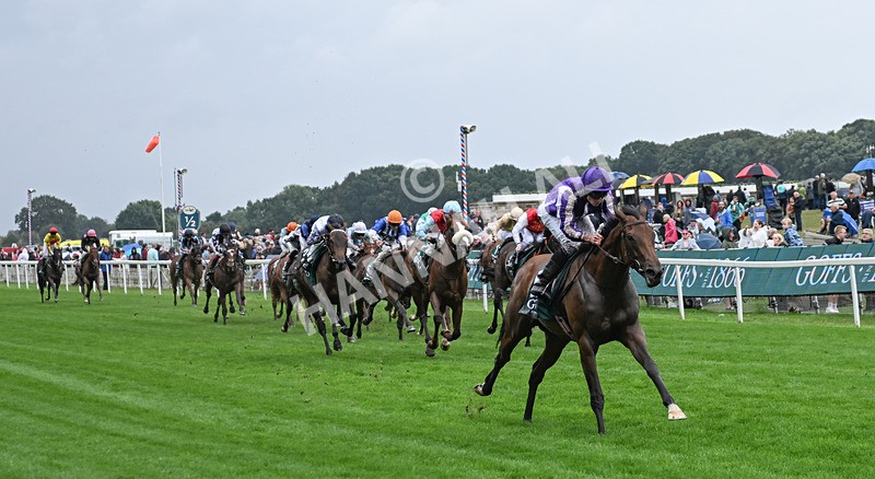 200826-029 Sun Goddess - Race 2 14.25pm Harry's Half Million By Goffs