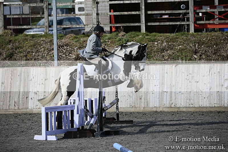 BVRC SJ 170319 84 - Bourne Valley Riding Club Showjumping 17/03/19