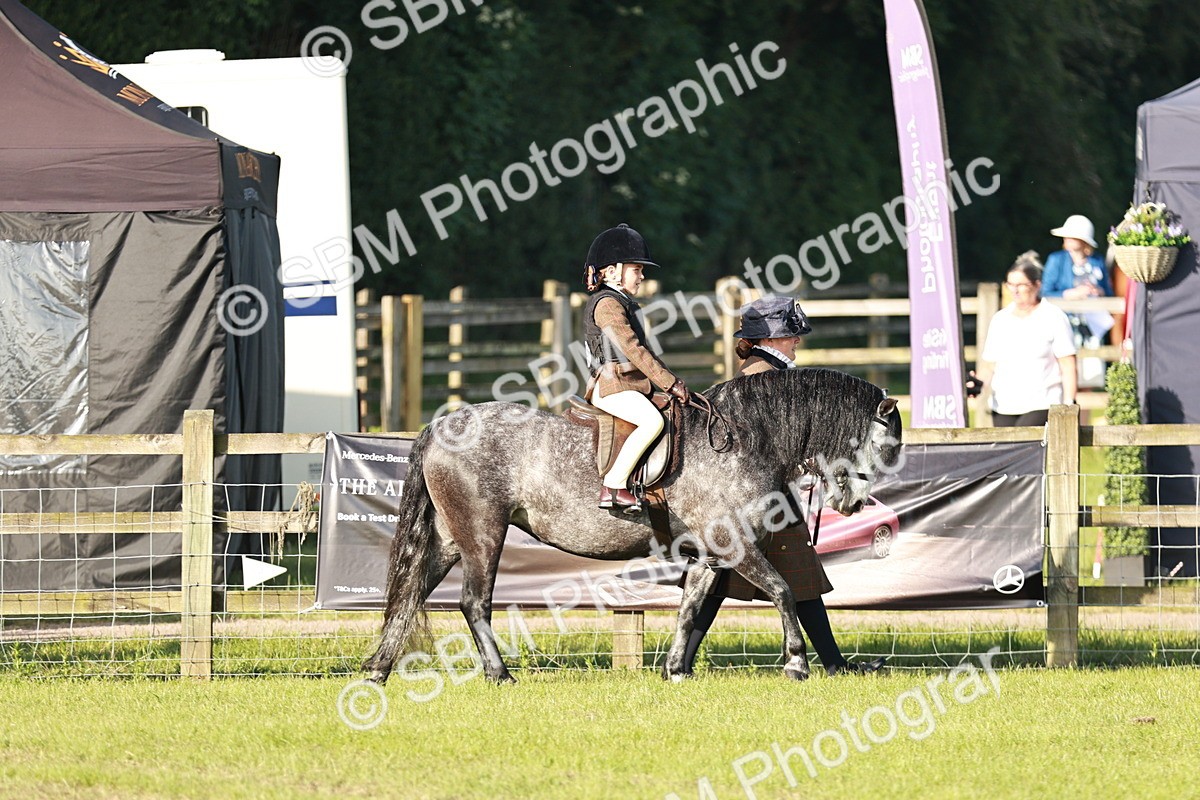 SBM_11012 - Class 106-107 - BSPS LIHS Working Sports Pony