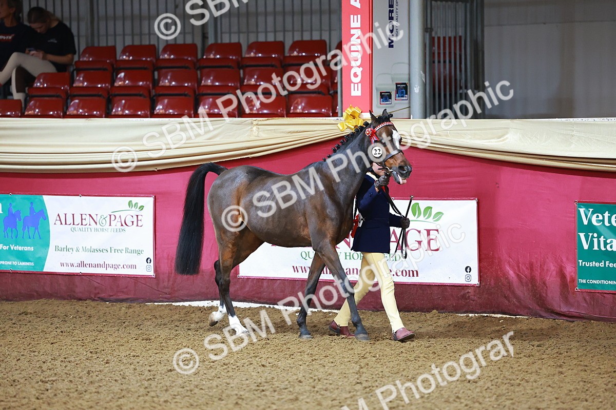 SBM_14552 - Class A - Junior Champ 10 year and Under