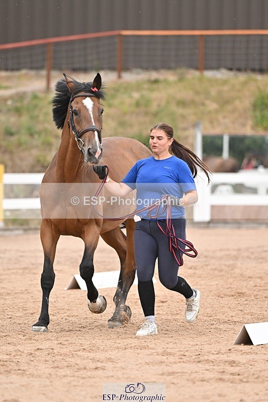 250716-160903-02455 - Trot Up 3.30 to 4.30