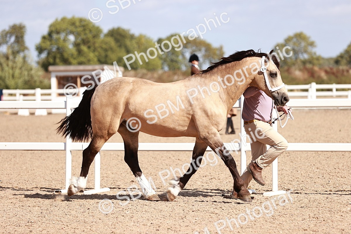 SBM_22977 - Class 707 - IH groom Helpers Class