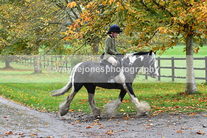 WJ5_6310 - B&B walk back for Hunt Tea !