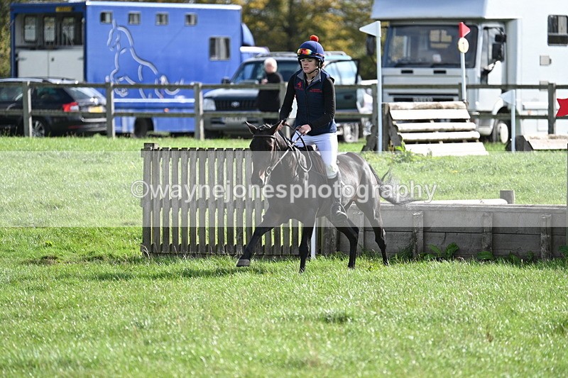 WJ7_8586 - 60cm Pairs